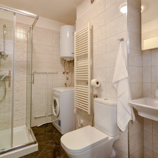 Bagno / wc, Rijeka City Studio, Istriana House & Oliva Holiday Apartment - Appartamento e Casa vacanza con piscine, Volme, Istria Rijeka